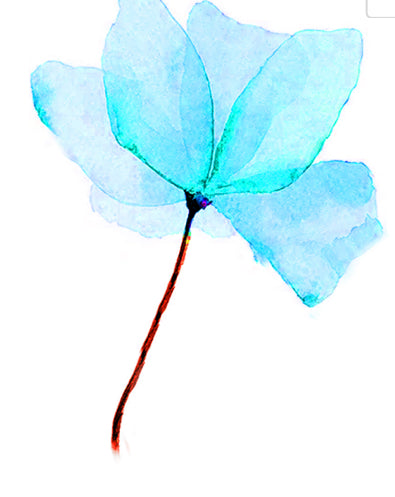 INK ART WATER COLORS