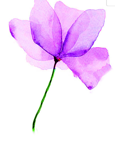 INK ART WATER COLORS