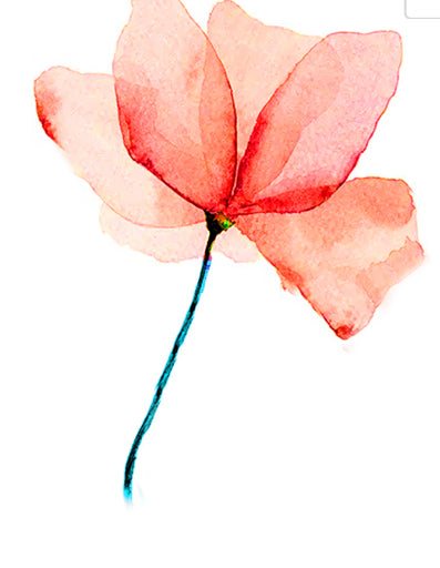 INK ART WATER COLORS